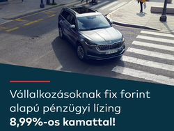 Skoda kodiaqcomfort insta